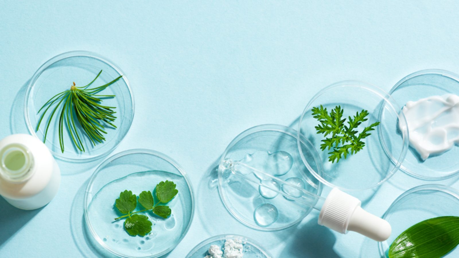 Amorepacific backs Junevity to hunt skin-ageing pathways - Worthbury