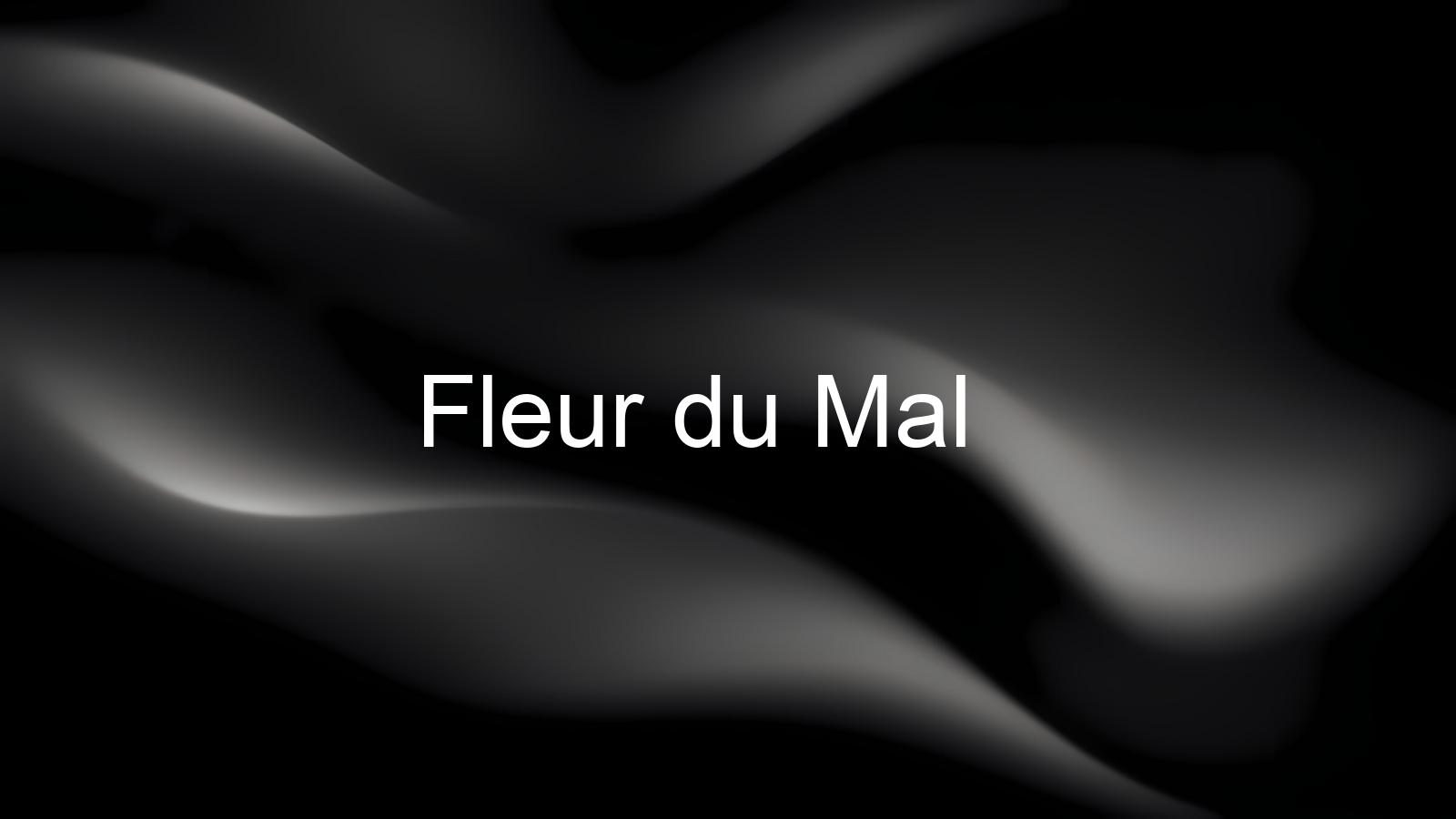 Fleur du Mal names Vanessa Abreu president to drive retail growth - Worthbury