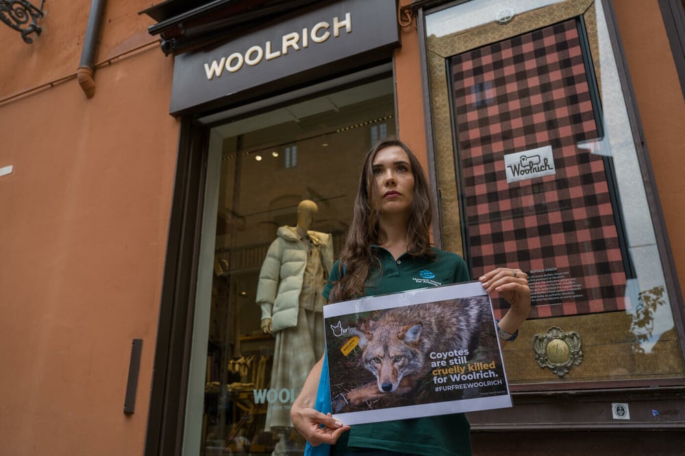 Woolrich