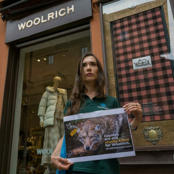 Woolrich