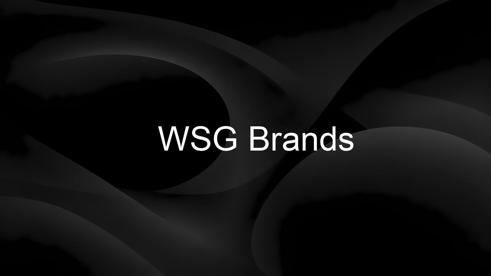 WSG Brands buys Sanctuary, the $85 million L.A. label, for global push - Worthbury